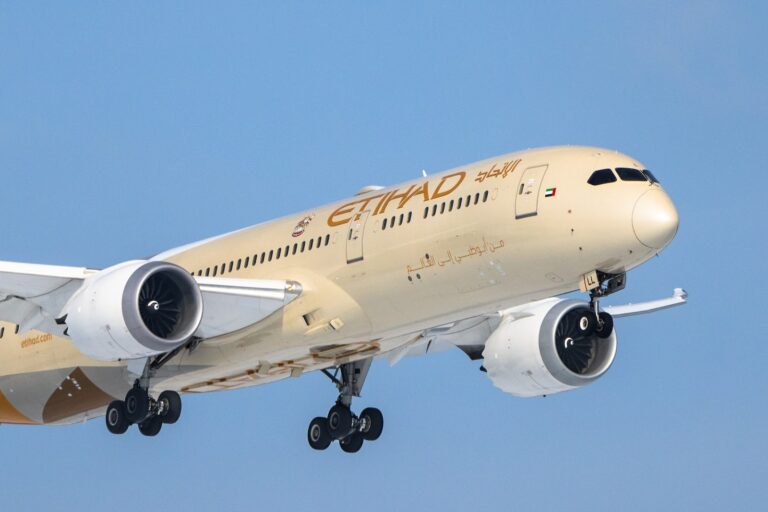 white and blue passenger plane in the sky