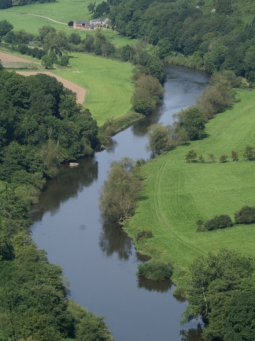 wye, forest of dean, forest